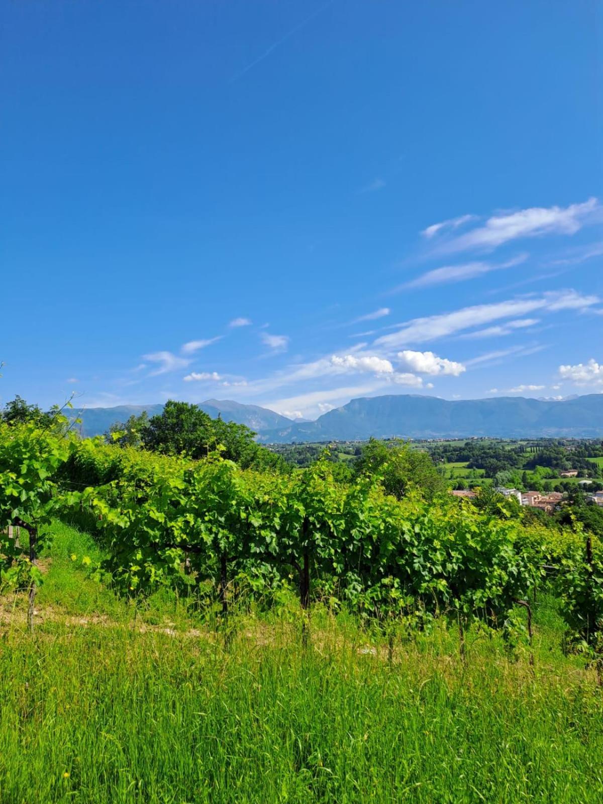 Casa Di Tuco Bed and Breakfast Conegliano Exteriör bild